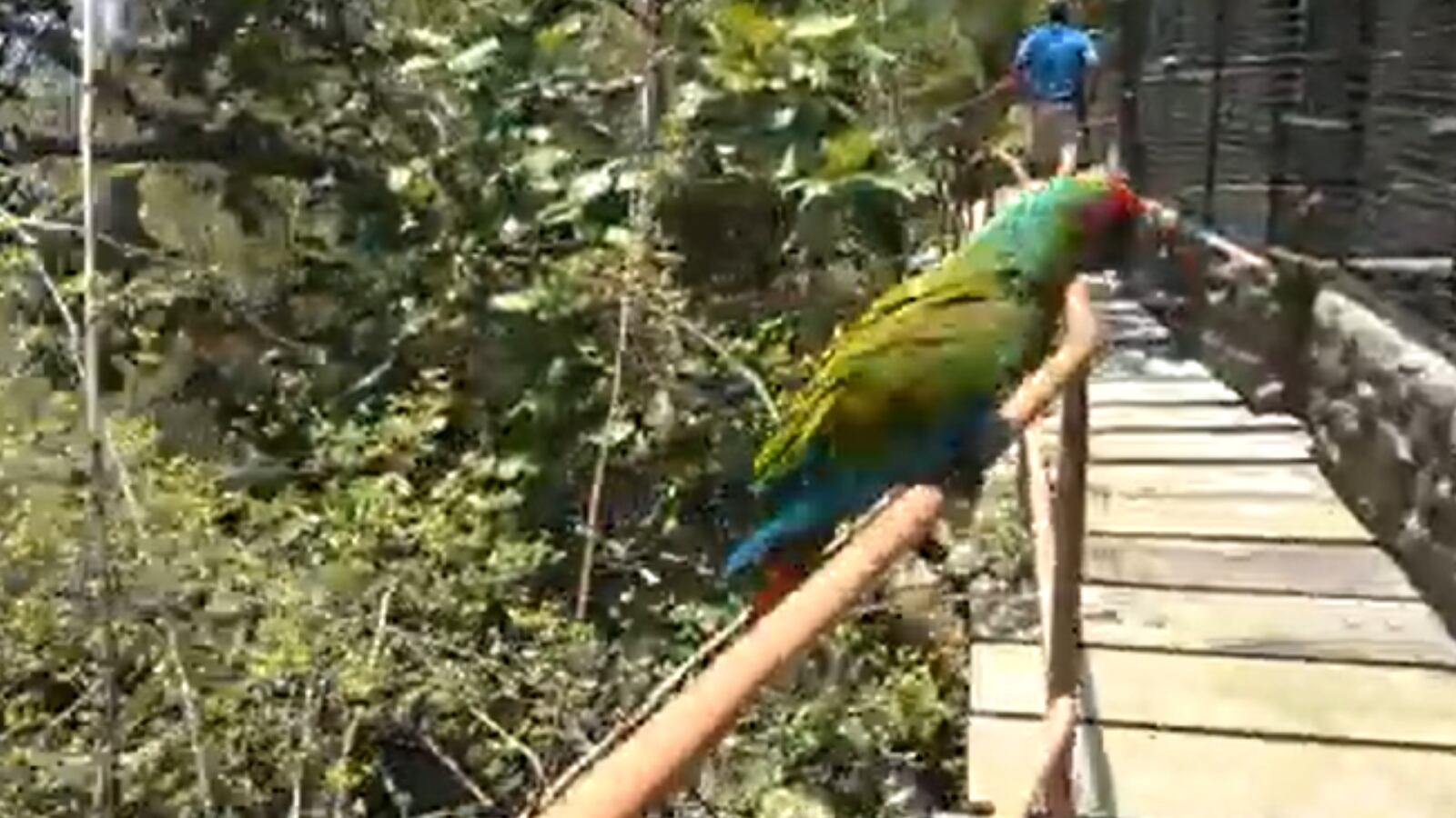 Playa Caletas, un refugio natural