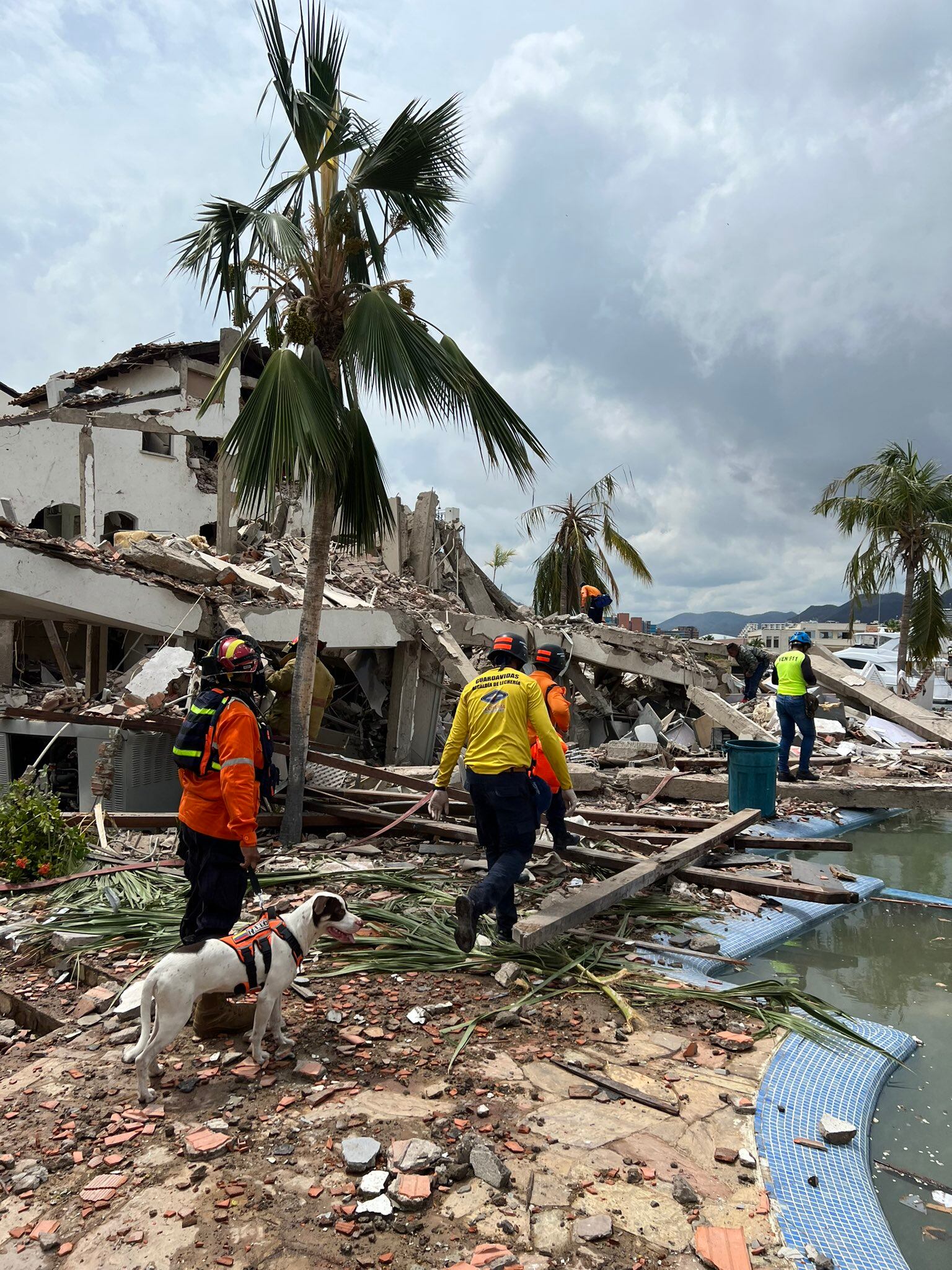 Twitter:@manuelferreiraG