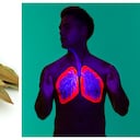 El laurel es una planta rica en carbohidratos, grasas, proteínas y vitamina C. Foto: Getty Images. Montaje SEMANA.