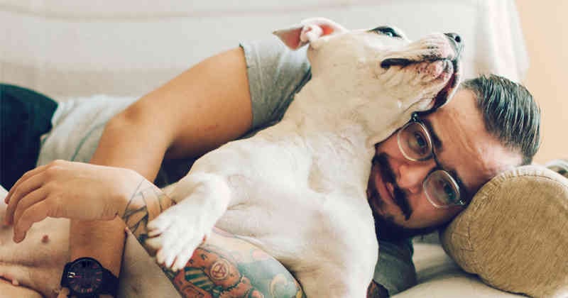 Los animales de apoyo emocional (APE) cumplen un rol importante en el bienestar de muchas personas, aunque su función es distinta a la de un perro de servicio.