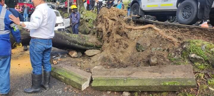 La persona que lo conducía el auto resultó ilesa