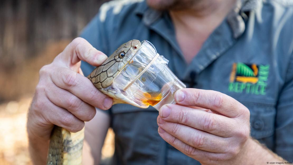 Un estudio reveló que un hombre desarrolló anticuerpos contra múltiples toxinas.