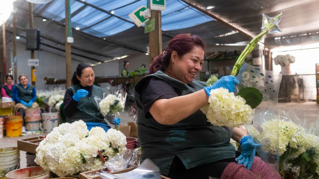 Comfama 5000 Empresas