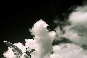 Los mensajes que envían estos seres pueden ayudarle a tener un mejor día.