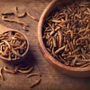 Edible mealworms in a wooden spoon