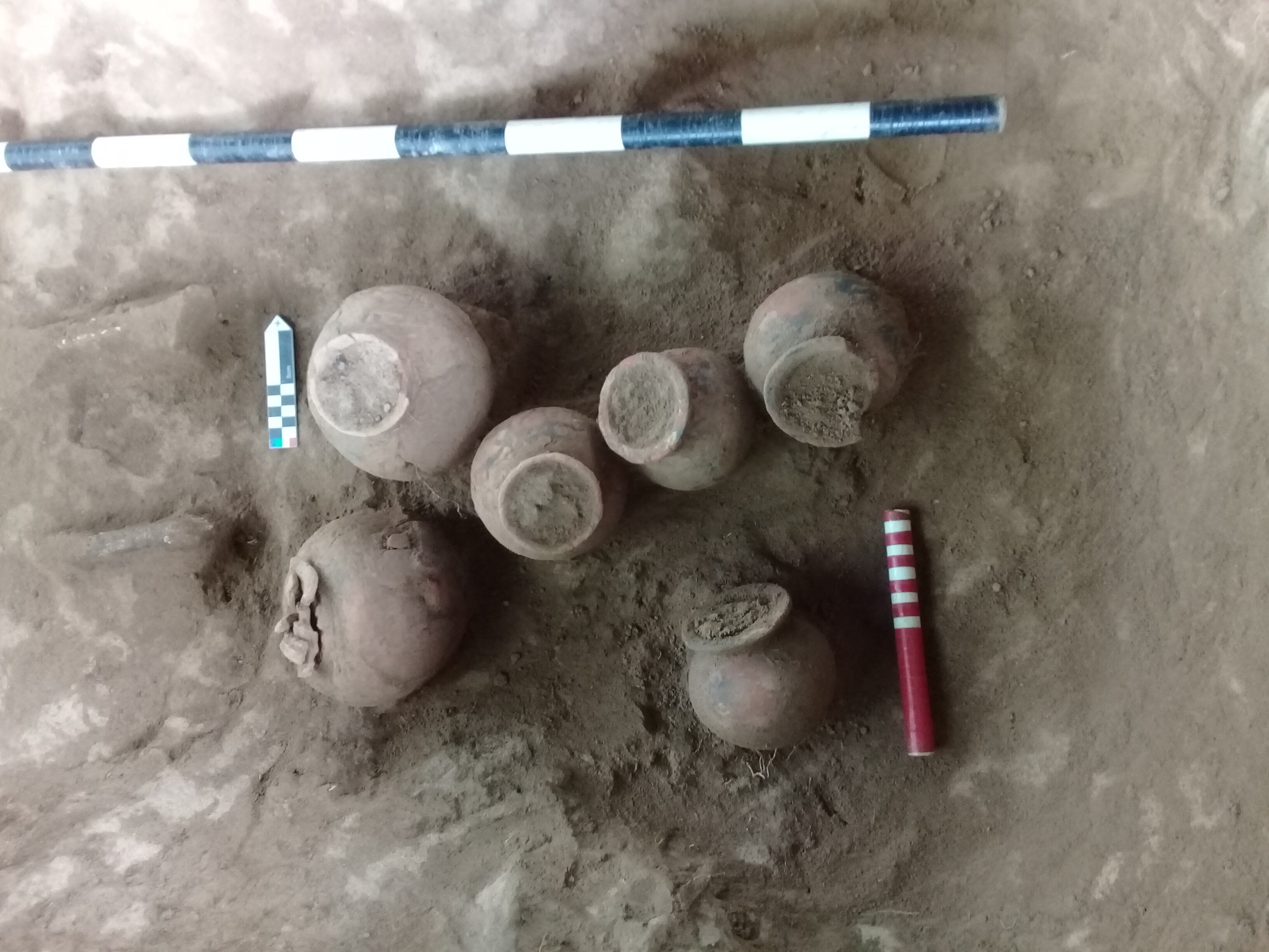 Las piezas encontradas por ISA INTERCOLOMBIA acompañarán a partir de diciembre próximo una muestra importante de bienes asociados a la comunidad Gunadule, en la exposición de larga duración del Museo de la UdeA.