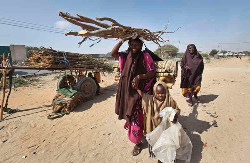Un recién desplazado somalí lleva palos para construir un refugio improvisado en un campamento en el área de Garasbaley, en las afueras de Mogadishu, Somalia. Las familias están en movimiento, tratando de llegar a las agencias internacionales de ayuda que no pueden distribuir alimentos en áreas bajo el control de al-Shabab, rebeldes extremistas islámicos afiliados a Al Qaeda. (Foto del AP / Farah Abdi Warsameh) 