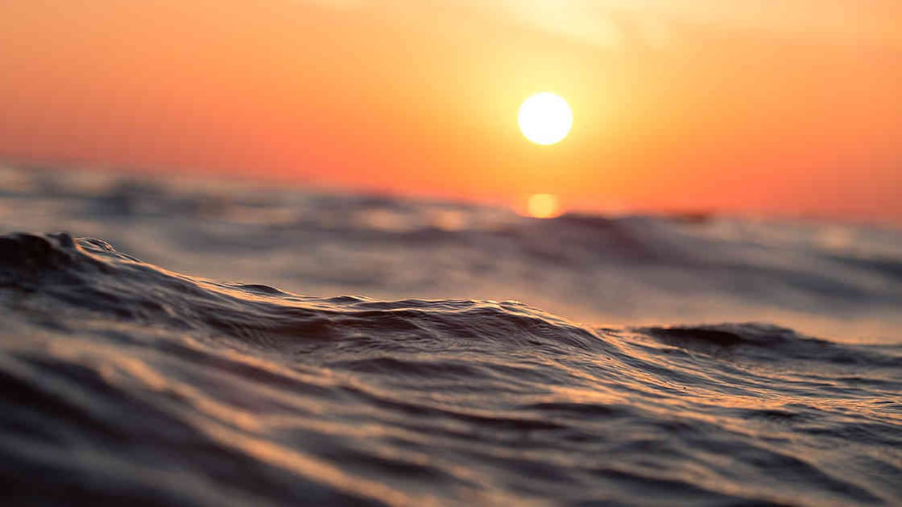 Al calentamiento de los océanos se suma ahora la pérdida de oxígeno del agua que amenaza a varias especies. Foto: archivo/Semana