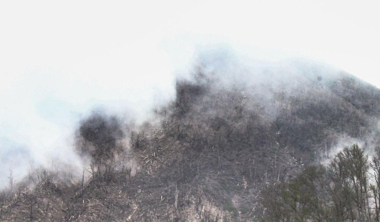 El profesor de la Universidad Libre Fabián Leonardo Yory Sanabria cayó por un abismo de una montaña (imagen de referencia)