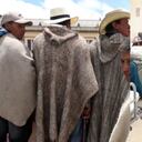 Movilización campesina y reforma a la salud.