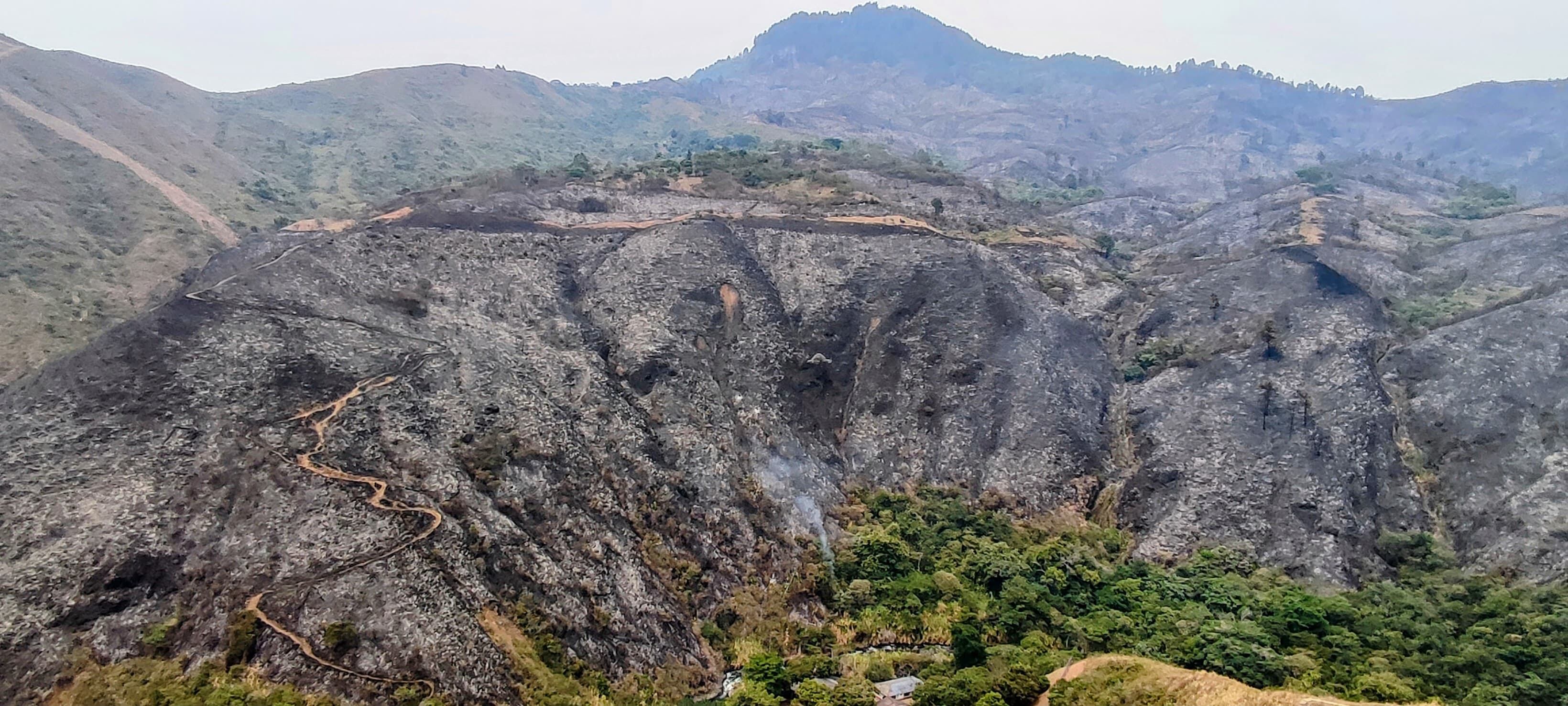 Incendio forestal en barrio Villa del Mar del sector de Terrón Colorado.