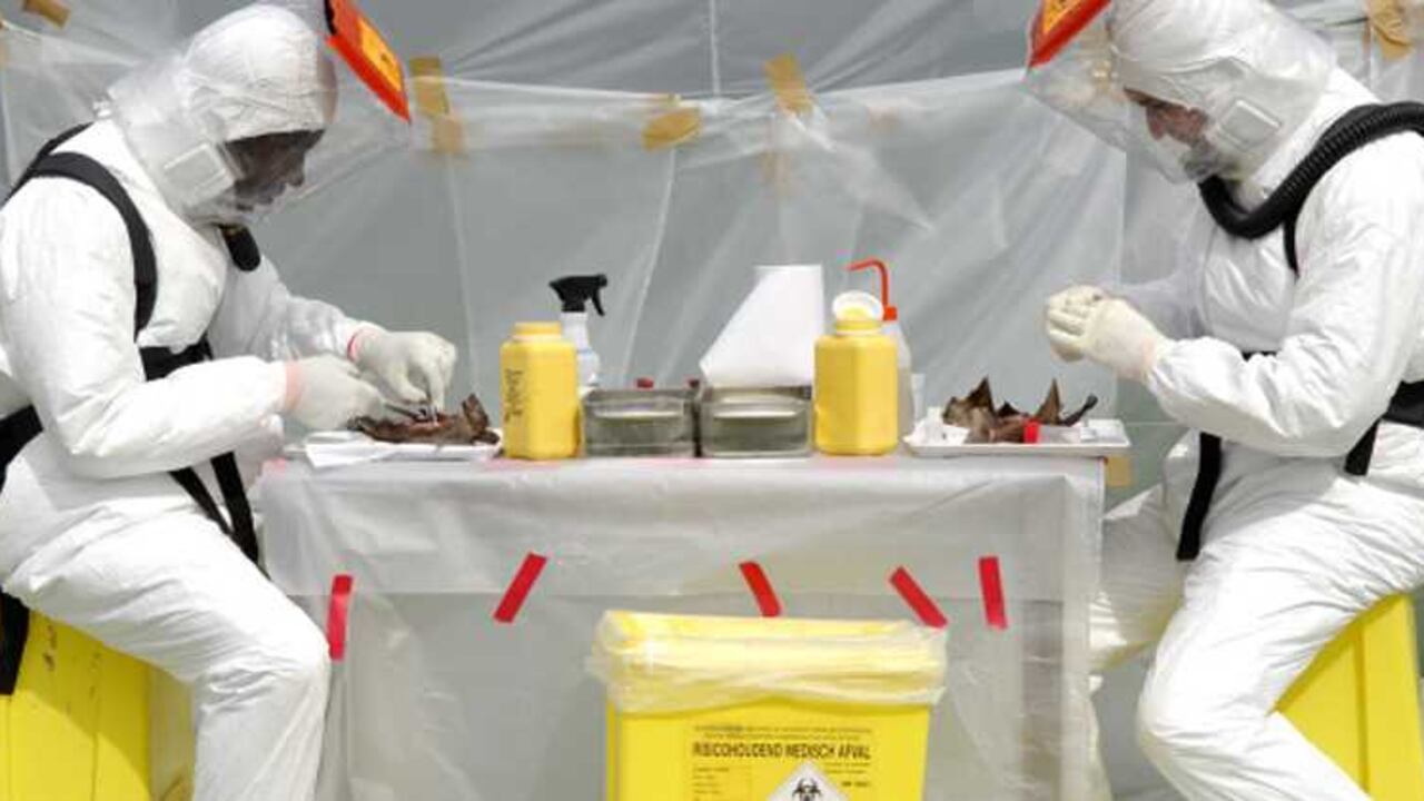 Por lo fácil que se contagia y por su extrema letalidad, la epidemia de ébola ha disparado las alarmas en el mundo.