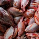 Pescado