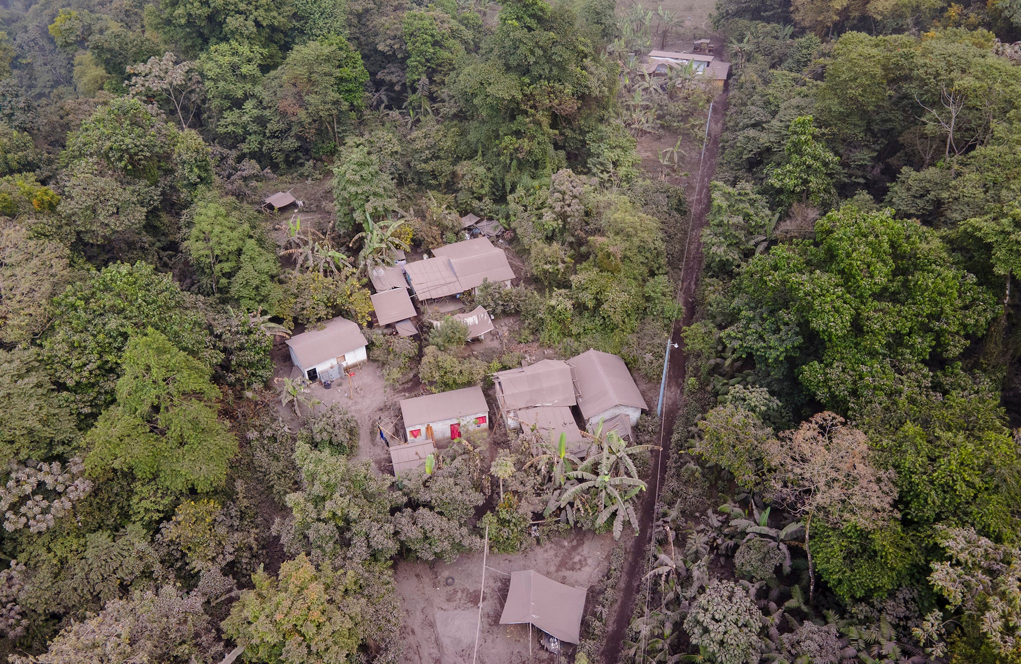 Fotos de la semana 11 marzo.docx