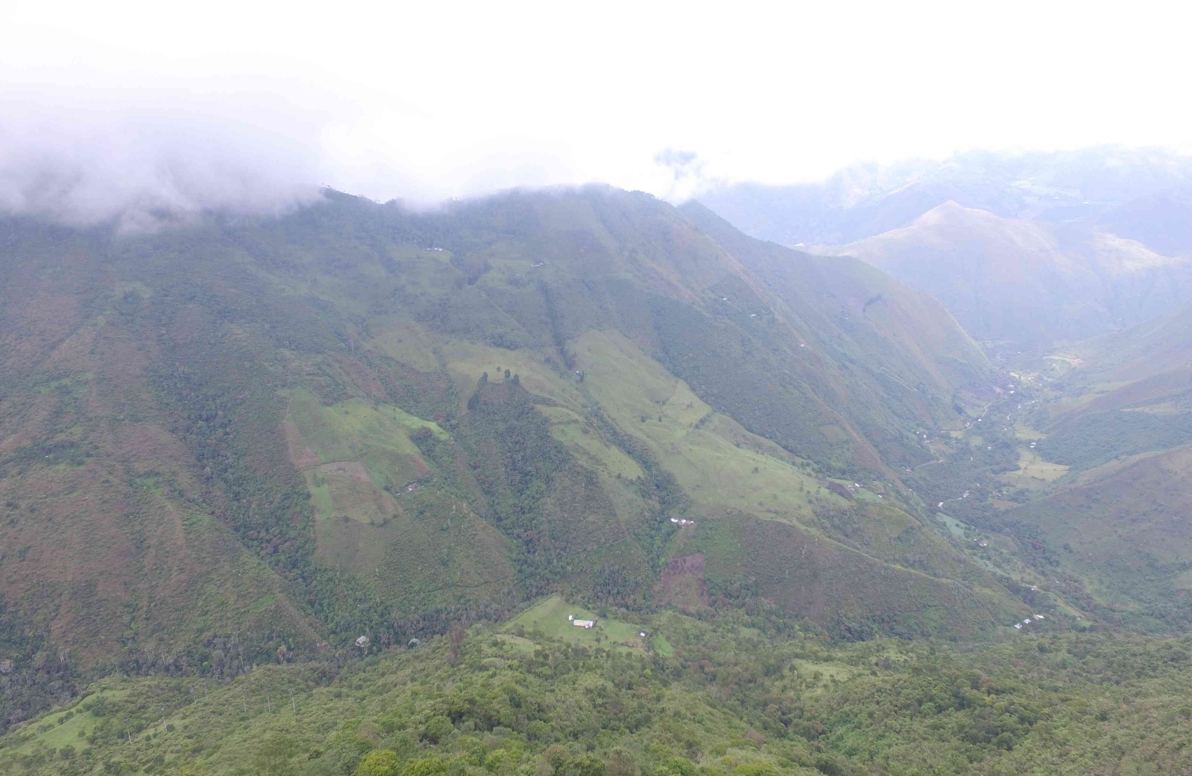 El Parque Ecológico Providencia congrega un universo lleno de vida: 194 especies de aves que equivalen al 27 por ciento de las que hay en el Valle del Cauca. Foto: Ingenio Providencia