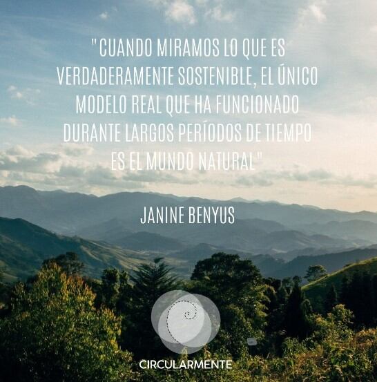 Volver al origen y observar cómo la naturaleza tiene todo lo necesario para enseñarnos y así aprender a generar nuestros propios diseños y modelos de negocios es parte de nuestro propósito como Circularmente.