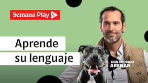 Aprende su lenguaje| Rodrigo Arenas en EduCANdo Manadas