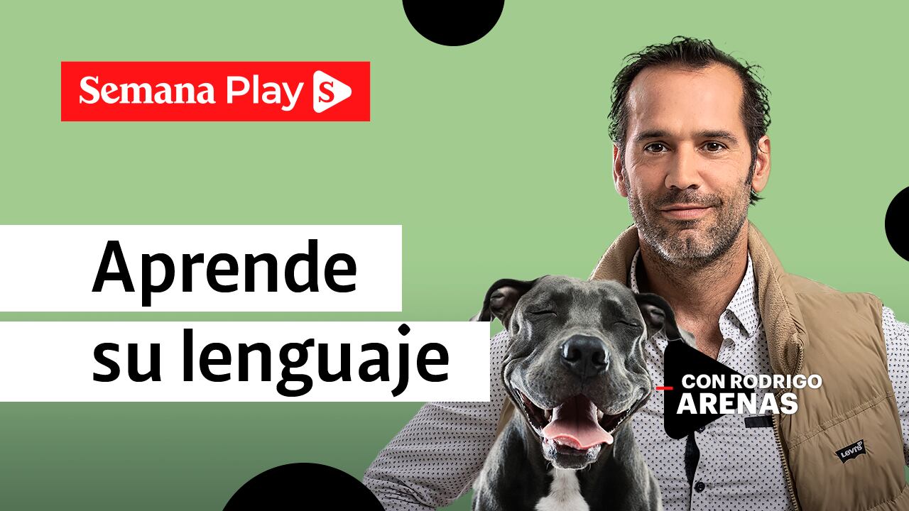 Aprende su lenguaje| Rodrigo Arenas en EduCANdo Manadas
