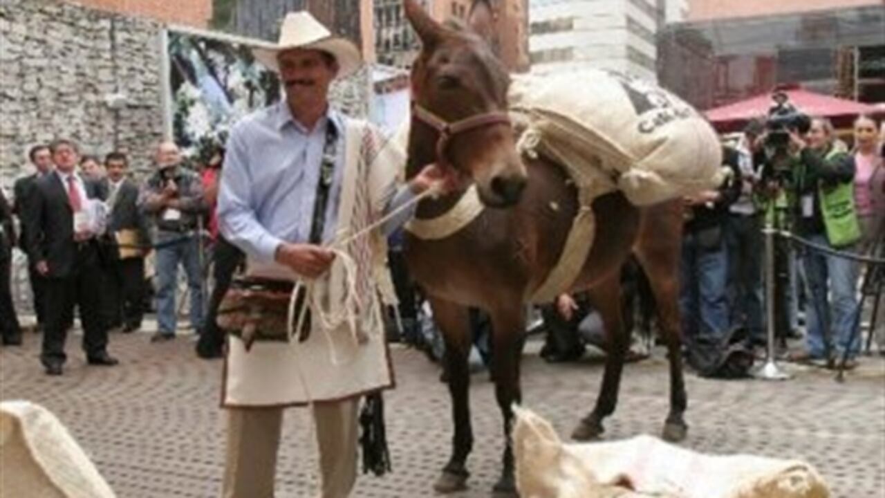 En 2005, Juan Valdez fue elegido, entre 26 participantes, como el Icono Publicitario más importante en los Estados Unidos.