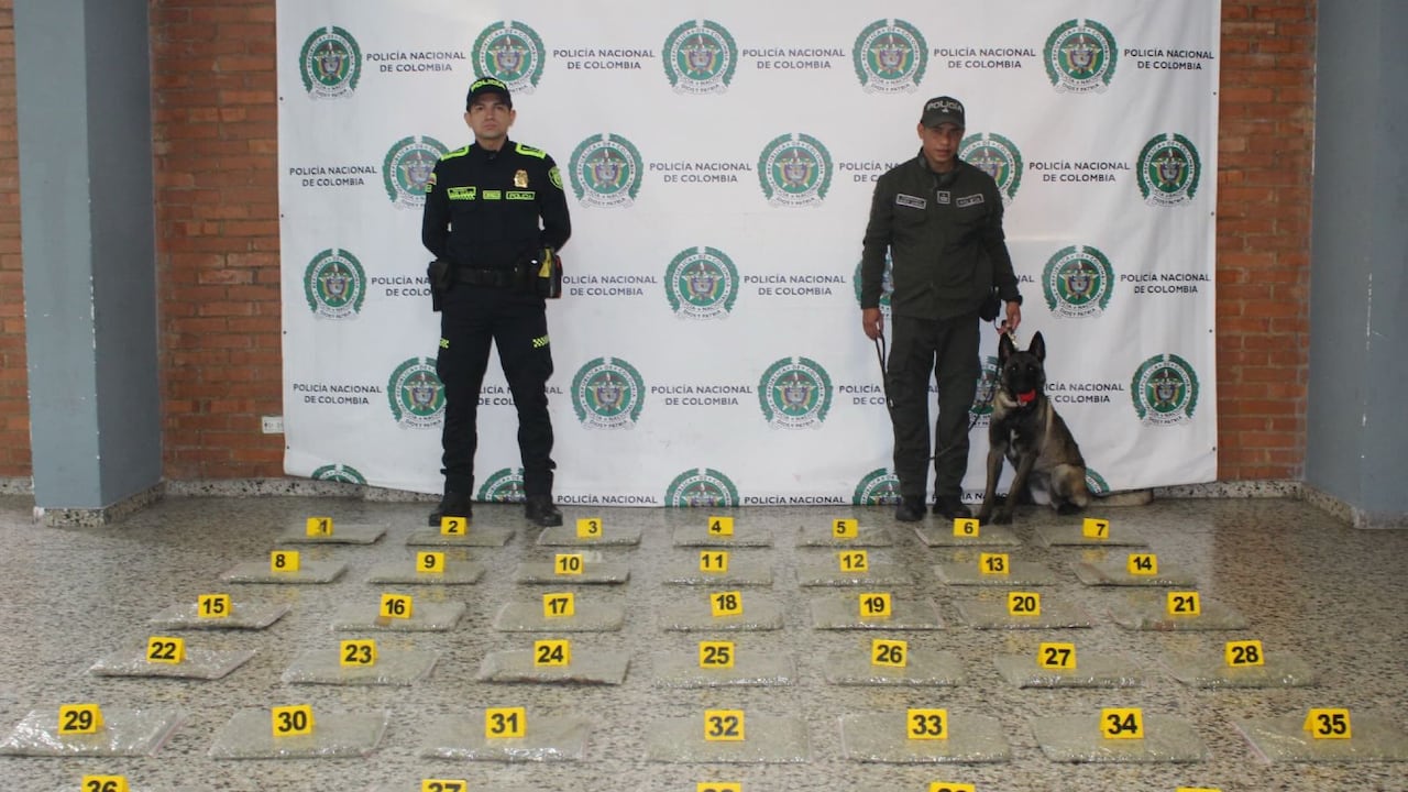 Continúa la ofensiva contra el tráfico de estupefacientes; fueron incautados más de 20 kilos de marihuana en El Dorado.