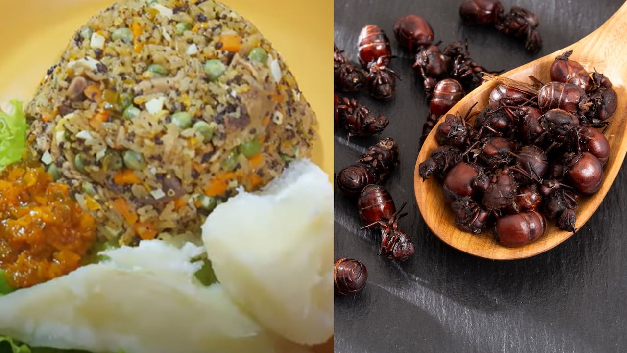 Platos típicos de Santander