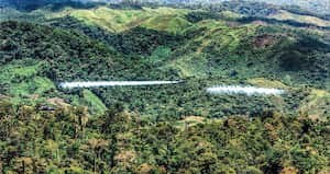 Aspersión aérea de cultivos ilícitos