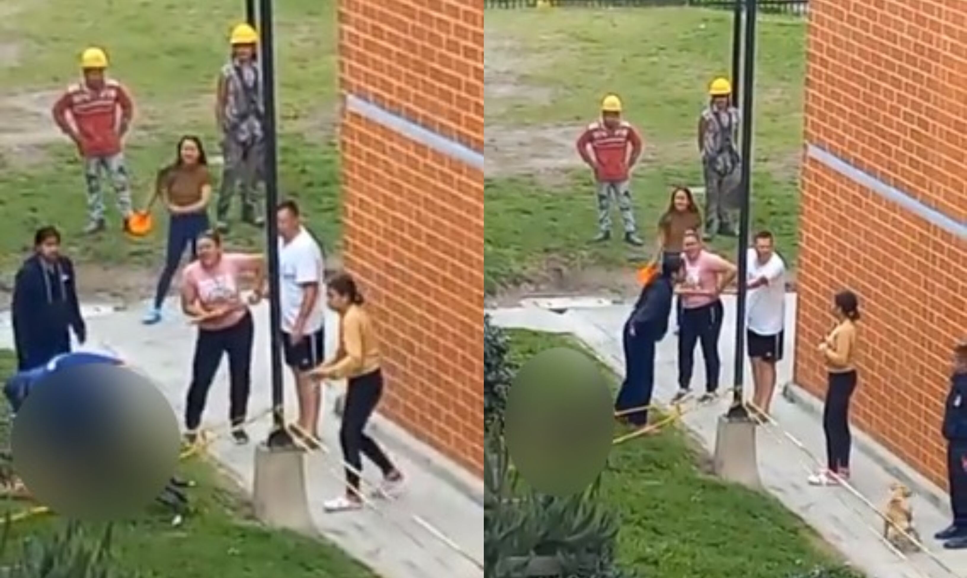 Al parecer, el pitbull iba sin bozal.