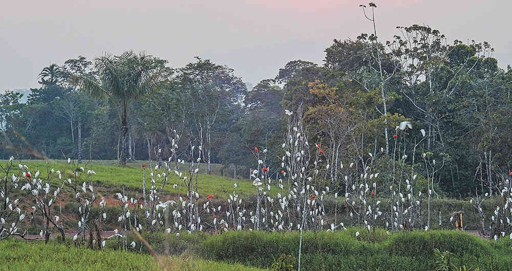 Atardecer en San Vicente del Caguán. En este municipio del Caquetá la temperatura puede alcanzar con facilidad los 30 grados centígrados.