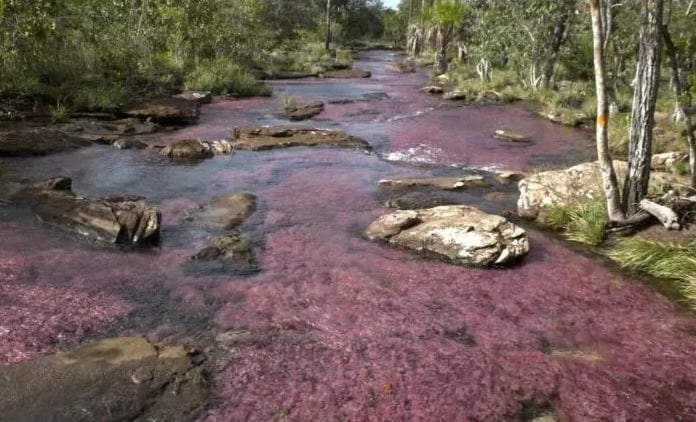 Río Tranquilandia en Guaviare, un lugar mágico escondido entre la selva