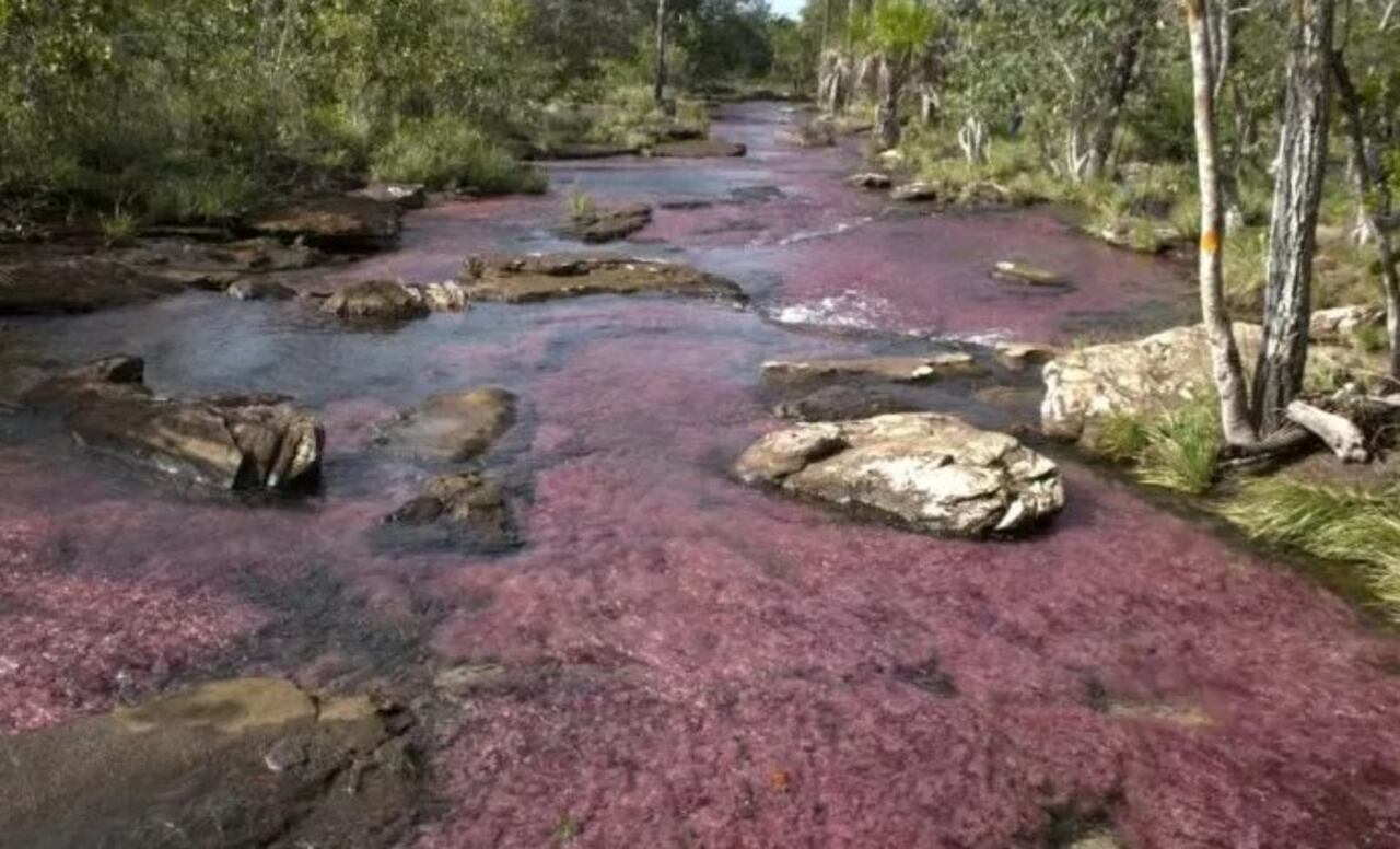 Río Tranquilandia en Guaviare, un lugar mágico escondido entre la selva