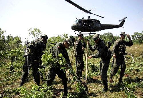 En los últimos meses ha habido una disminución en la erradicación de cultivos ilícitos