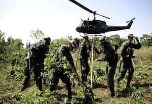 La erradicación manual de cultivos de coca en Colombia se redujo 43% en 2009 respeto a lo erradicado el año anterior, debido a la falta de recursos para financiar el programa estatal que la promueve. Mientras en 2008 se erradicaron manualmente 95.470 hectáreas de coca (materia prima de la cocaína), en 2009 se han erradicado 54.180 hectáreas, siendo que la meta era de 70.000. El programa recibió en 2009 recursos por $97.000 millones (US$48,5 millones) frente a $118.000 millones (US$59 millones) en 2008.