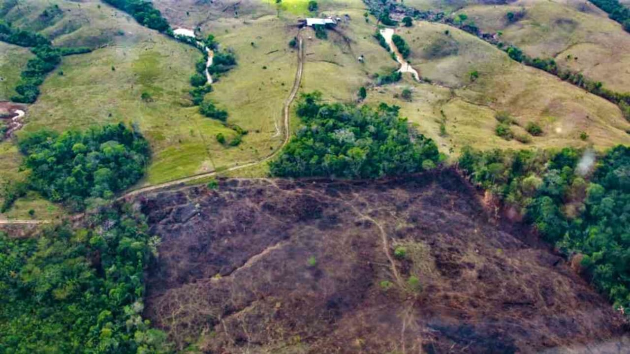 La deforestación en la Sierra de la Macarena es creciente. Foto: Gobernación del Meta.