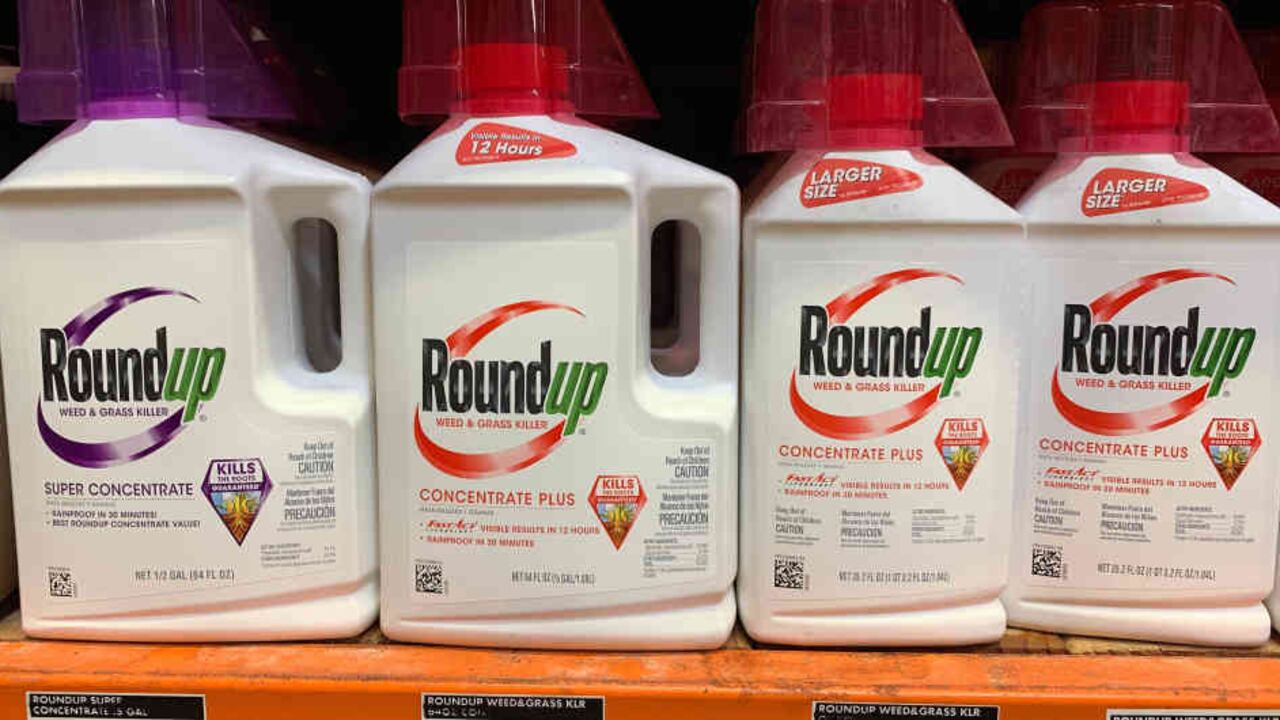 Bayer, que en ese acuerdo multimillonario no admite que haya ningún problema con su producto, sostiene que los estudios científicos y las aprobaciones regulatorias muestran que el glifosato es seguro, aunque otras investigaciones han encontrado lo contrario.
