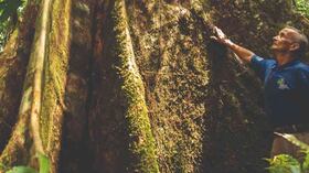 Así contribuyen las comunidades a la reforestación del piedemonte amazónico