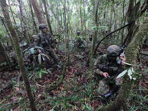 En la profundidad de la selva de Guaviare tras las huellas de Gentil Duarte.