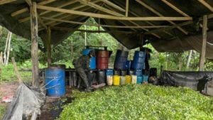 Desmantelados cinco laboratorios de coca en Chocó tras operaciones conjuntas de las Fuerzas Armadas; pertenecerían al Clan del Golfo