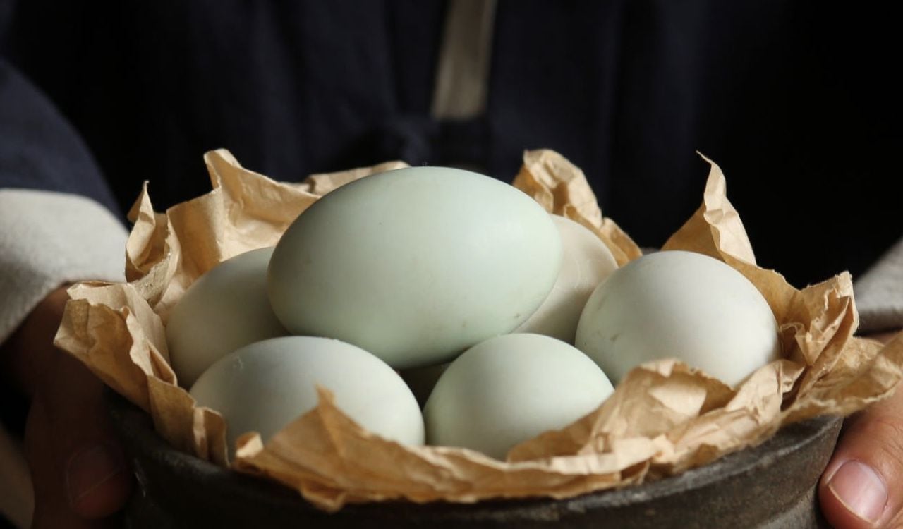 Un kilo de huevos puede llegar a costar hasta 100 pesos mexicano, algo más de 26 mil pesos colombianos