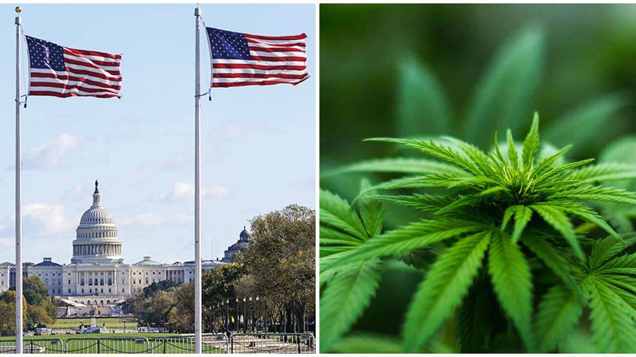 Cámara de Representantes de EE. UU. aprueba despenalizar la marihuana a nivel federal