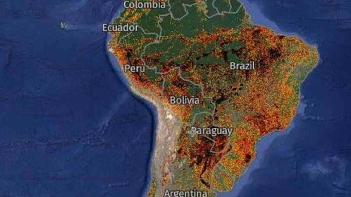 Los incendios han ido en aumento en Latinoamérica causando graves afectaciones a los ecosistemas. Imagen: Global Forest Watch