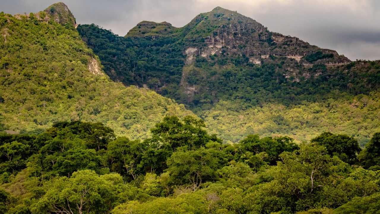 Bosque seco tropical en Colombia