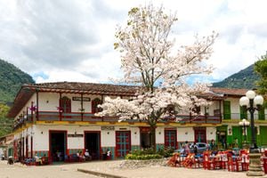 Jardín (Antioquia), uno de los candidatos, fue elegido por su trayectoria como miembro de la Red Turística de Pueblos Patrimonio y sus experiencias de turismo cultural.   

Crédito: Adriana Marcela Zapata Medina.
