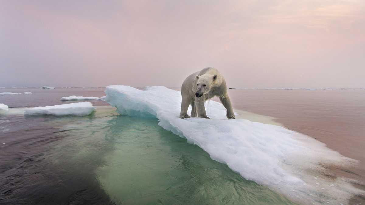 Cambio climático (Foto Getty)