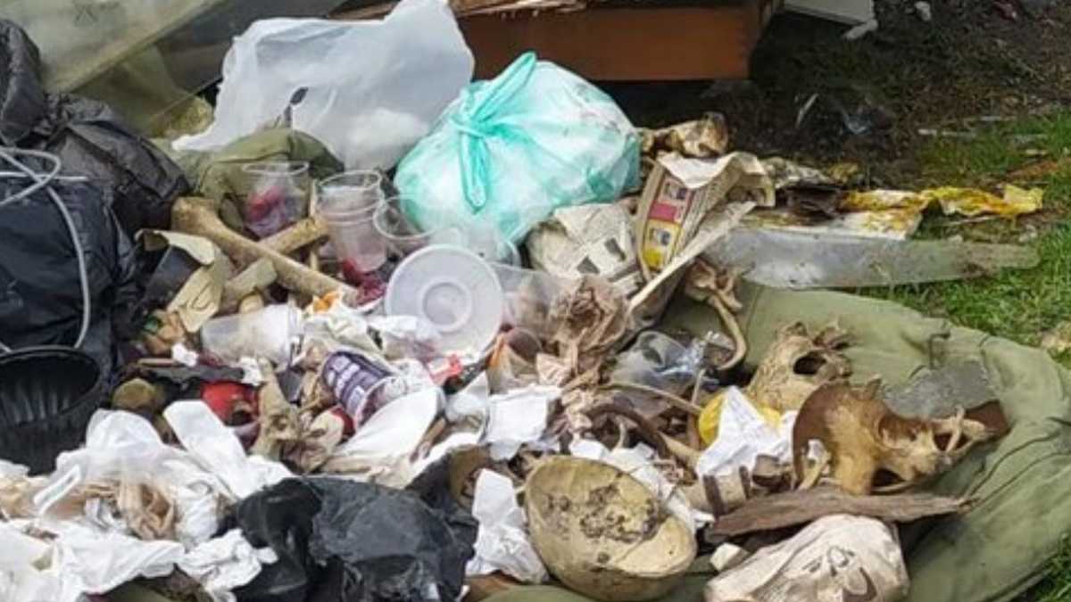 Autoridades encontraron restos óseos en bolsas de basura en Teusaquillo.