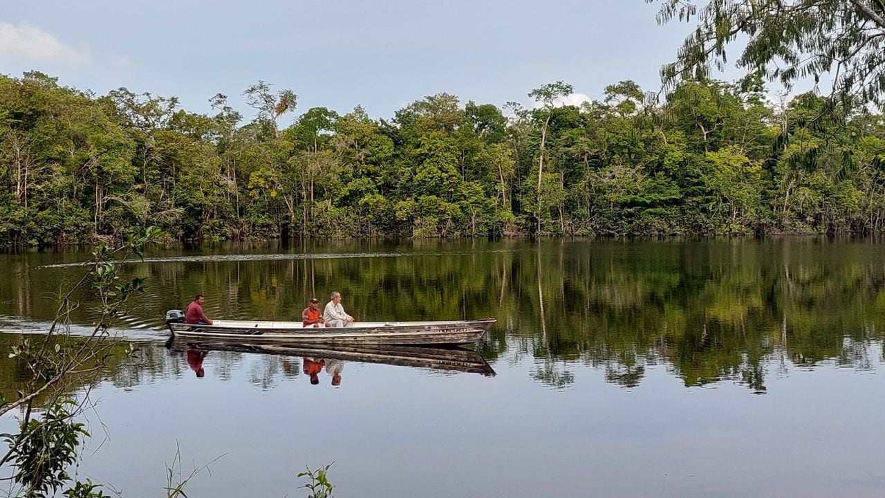 Cerca del 40 por ciento del territorio nacional es Amazonía, un amplio tapete verde lleno de vida.