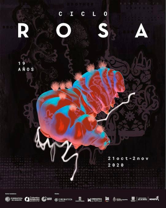 Afiche décimo noveno Ciclo Rosa