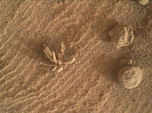 Usando un proceso de enfoque a bordo, el Mars Hand Lens Imager (MAHLI) a bordo del rover Curiosity de la NASA en Marte creó este producto fusionando de dos a ocho imágenes tomadas previamente por el MAHLI, ubicado en la torreta al final del brazo robótico del rover.