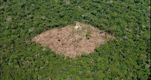 La deforestación es una de las actividades que más ha influido para el incremento de las emisiones de gases de efecto invernadero en Colombia. Foto: archivo/Semana. 