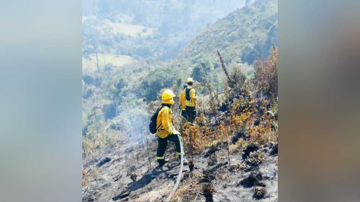 Los bomberos de Bogotá controlaron incendio forestal en los cerros orientales, no se reportaron víctimas.