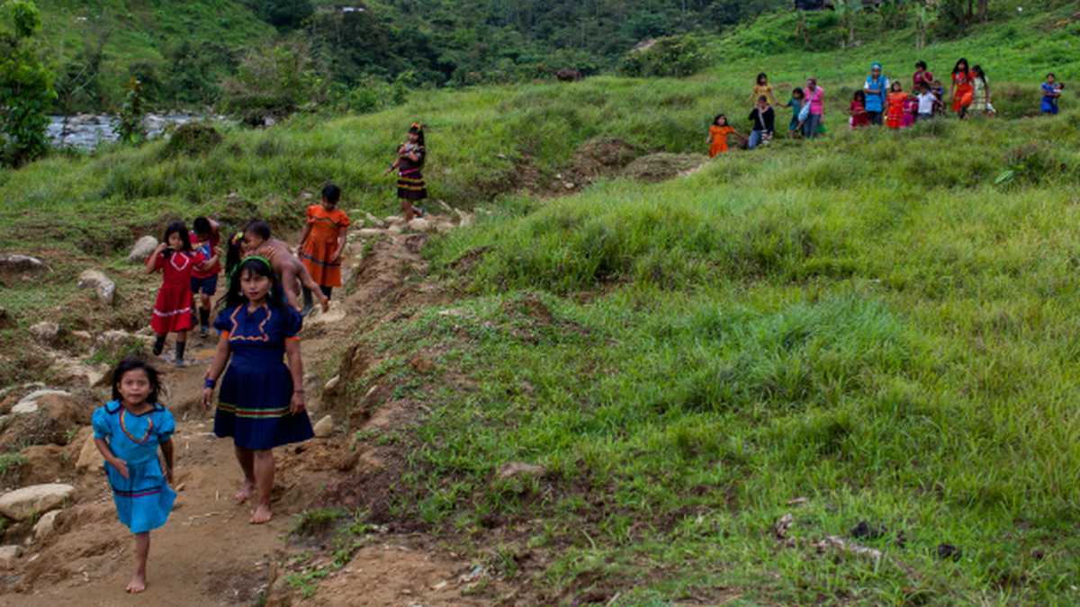 Alto Baudó (Chocó) es el segundo municipio más pobre de Colombia. Un poco más del 70 % de su población es afrodescendiente y cerca del 27 % son indígenas.